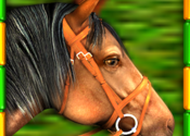 Gallop for Gold Slots for Mac for Mac logo