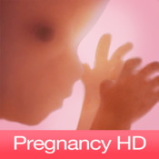 Pregnancy week to week logo