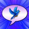 TweetCaster for Twitter logo