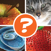 4 Pics 1 Word Puzzle: What's That Word? logo