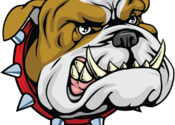 Watchdog for Xcode for Mac logo