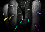 Learning Python for Mac logo