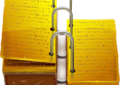 LDS Scriptures for Mac logo
