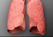 Living Lung™ - Lung Viewer for Mac logo