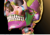 Skeleton Premium for Mac logo