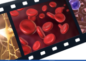 Physiology Animations for Mac logo