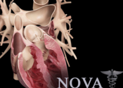 Heart Pro III for Mac logo