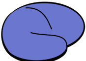 MRIcro viewer for Mac logo