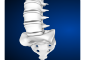 AgingSpine for Mac logo