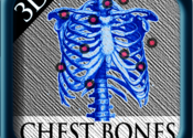 3D Chest Bones for Mac logo