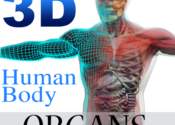 3D Human Body Organs Reference for Mac logo