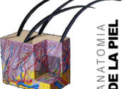 Anatomia de la Piel for Mac logo