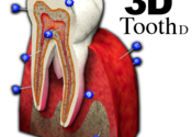 3D Tooth - St for Mac logo