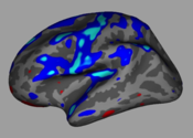 iSurf Brainview Desktop for Mac logo