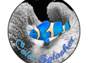 ColorSplasher for Mac logo