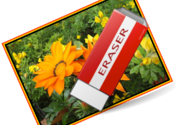 Erase Photo-Element for Mac logo