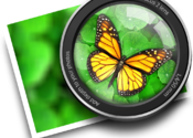 Focus 2 for Mac logo