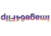 Image64Flip for Mac logo