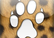 CheetahSwipe logo