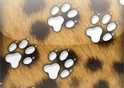 CheetahTrack logo