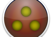 Pinggy for Mac logo